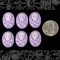 Lavender and White Skull and Crossbones 24mm x 18mm Resin Cameos - Set of Six - CAM58